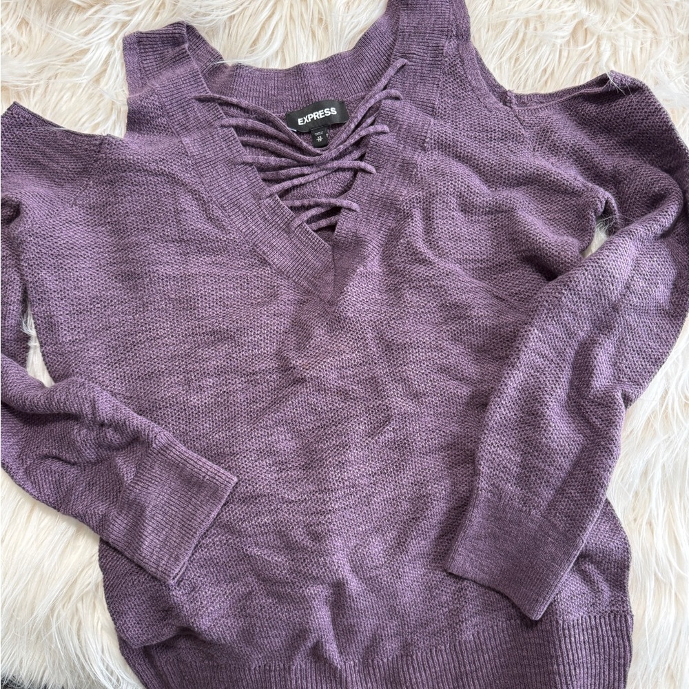 Express Women's Lavender V-Neck Sweater